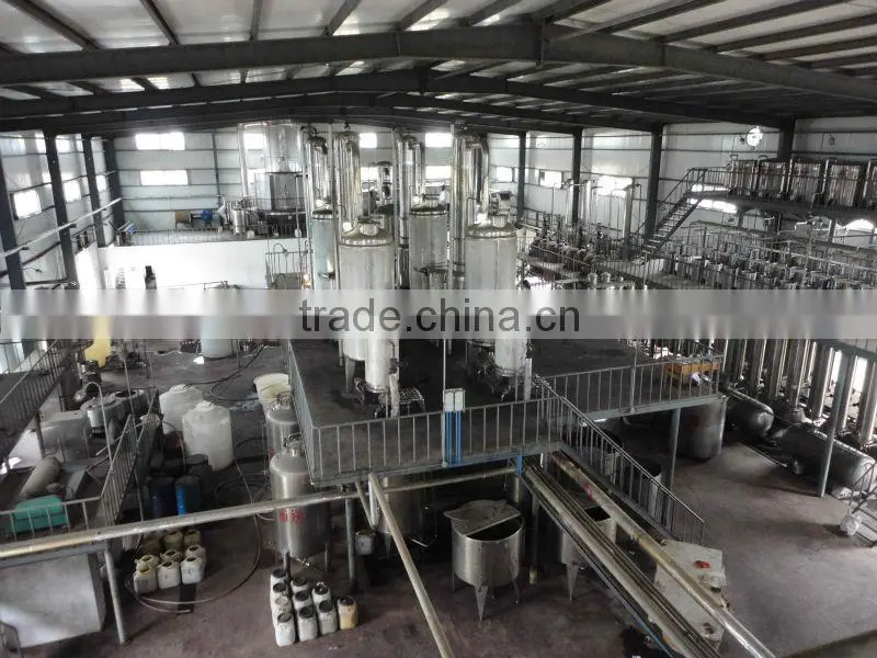 apple polyphenols extract