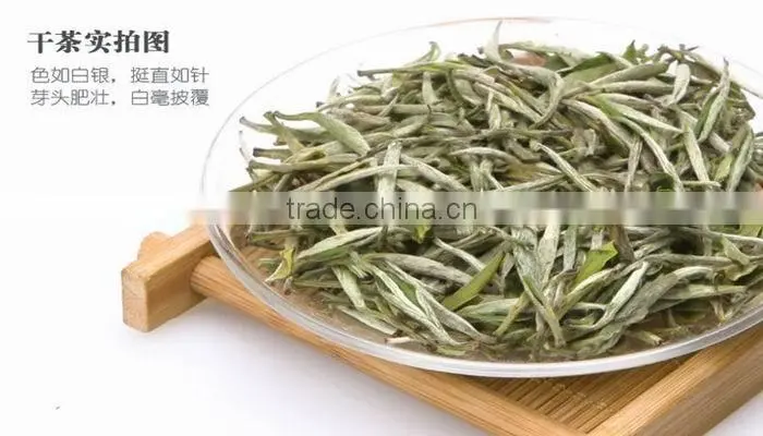 High Quality Natural Slimming Tea, white Tea,white silver needle tea