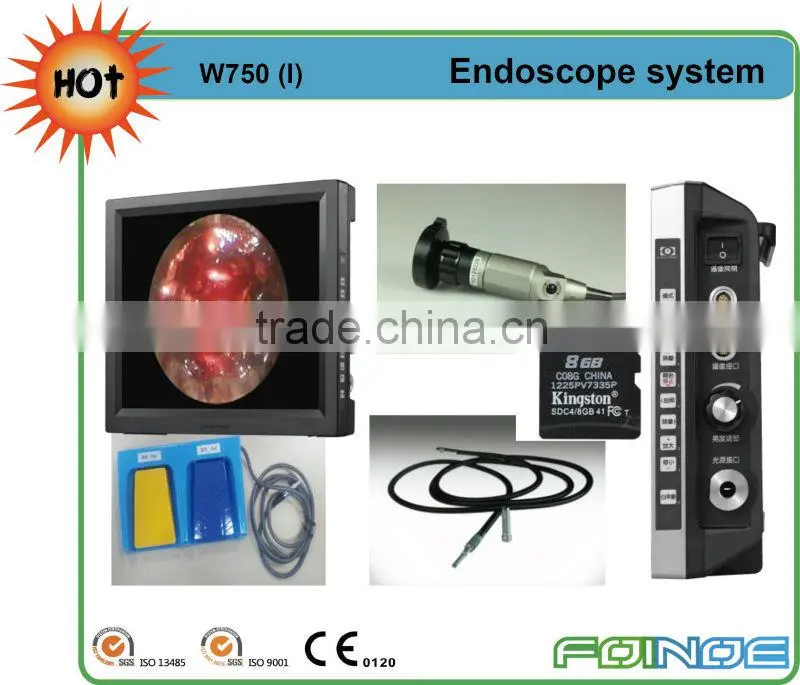 Q'7515 CE approved HOT selling veterinary endoscopy