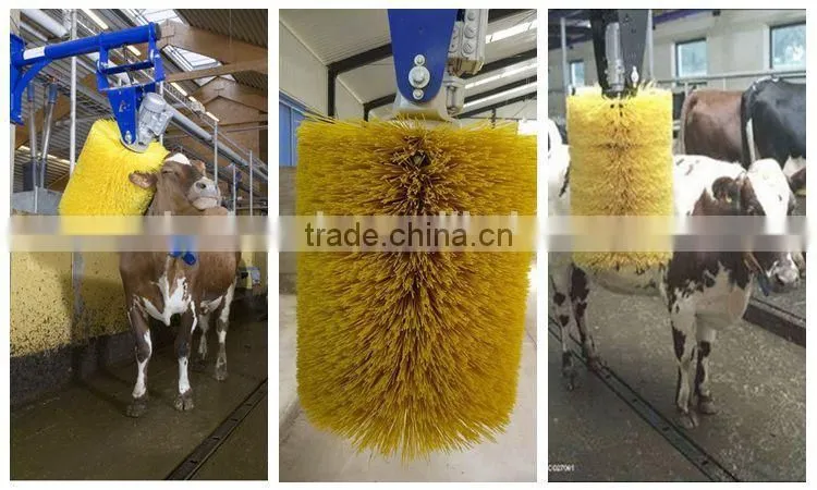 cow body cleaning brush factory from China