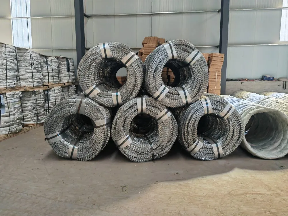 razor wire (2)