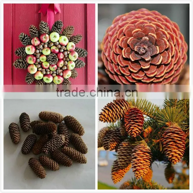 Christmas Tree Decoration Natural Glitter Pinecone Wreath