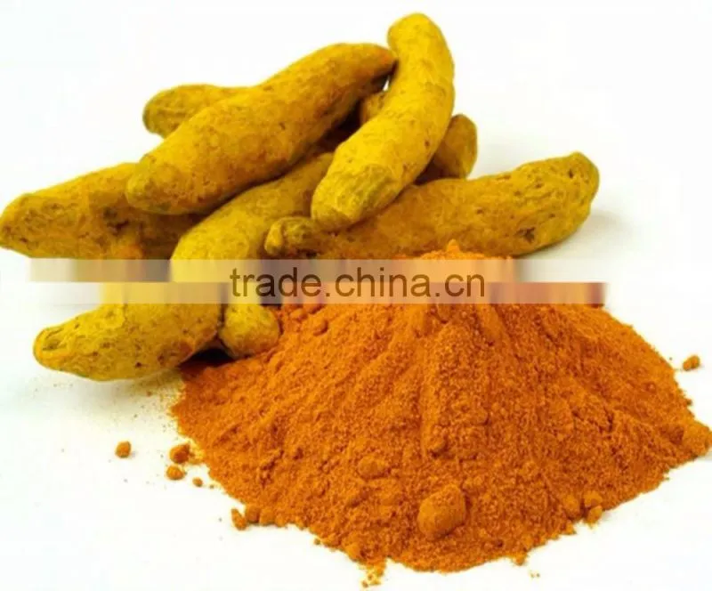ISO Certified Pure Turmeric Powder Bulk Producers