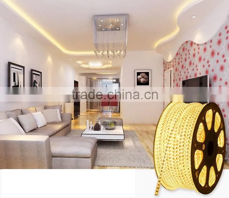 TOP SELLING Waterproof IP65 60leds/meter SMD5050 Flexible RGB led strip/chain light
