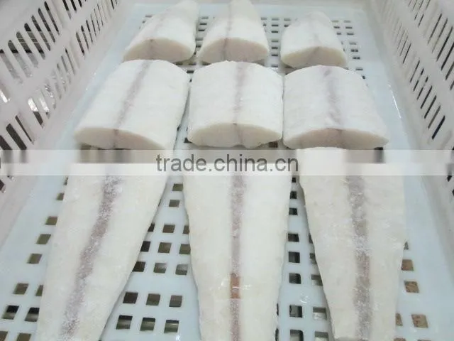 Frozen Oilfish fillets new arrive