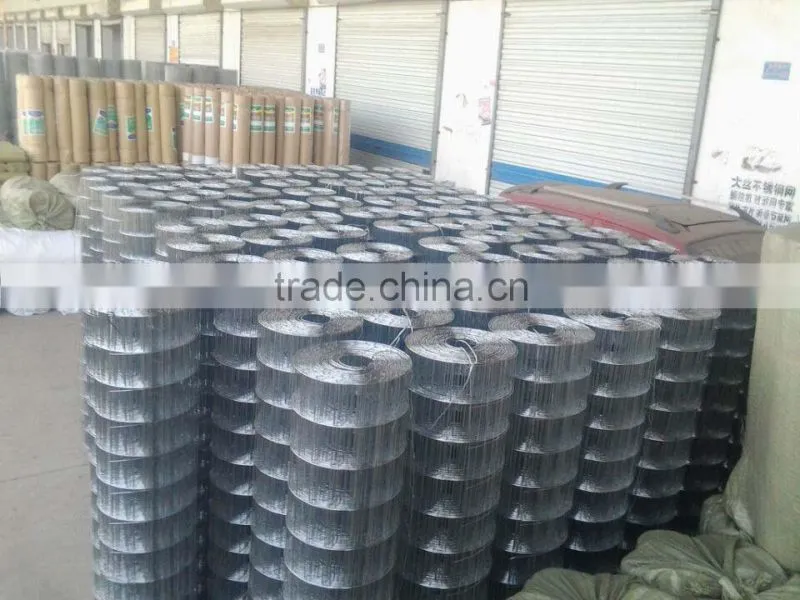 High Quality Galvanized Welded Wire Mesh