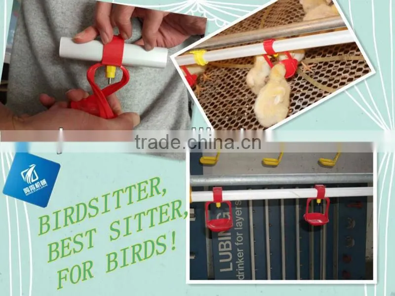 full automatic chicken use water drink