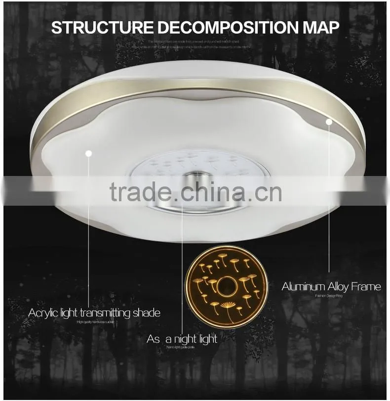 2016 new design ceiling mount led light 30W per color small for bedroom or reading room