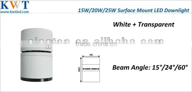 Surface Mount 20W Citizen COB LED Downlight