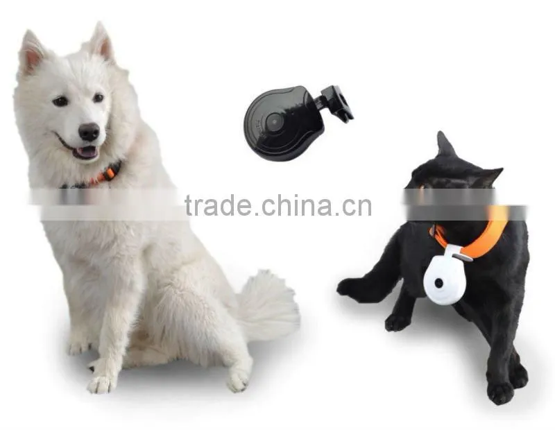 factory offer mini digital pet camera ECO-188
