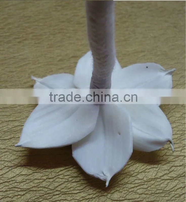 sola flower diffuser
