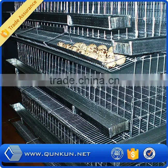 hot-dipped galvanized quail cage
