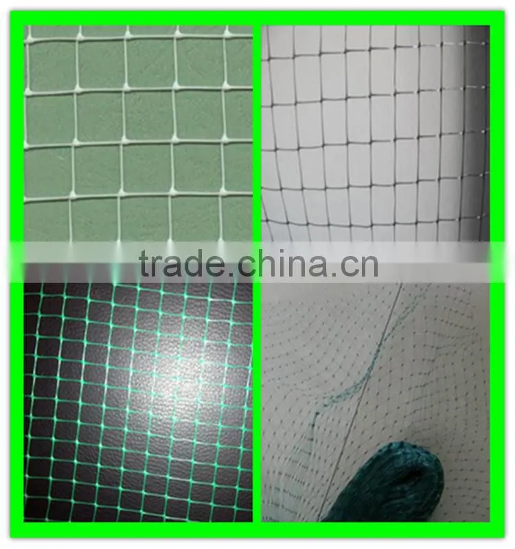 supply high quality orchard anti bird net/nylon anti bird net/vineyard anti bird net