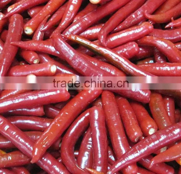IQF frozen chilli/BQF chilli paste with BRC certificate