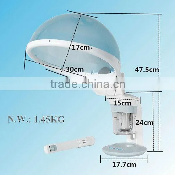 AYJ-H073A hot offer hair Moisturizing portable hair steamer for spa
