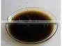 Clove Bud Oleoresin