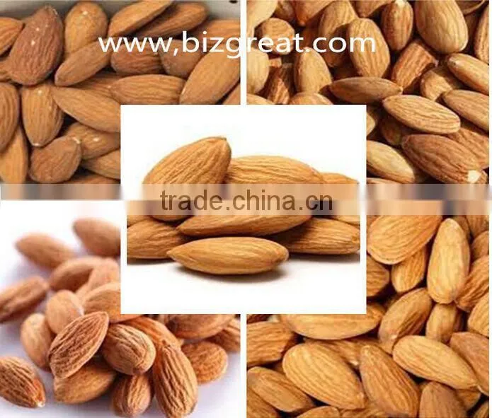 Supply Sweet Apricot kernels with 8% bitter