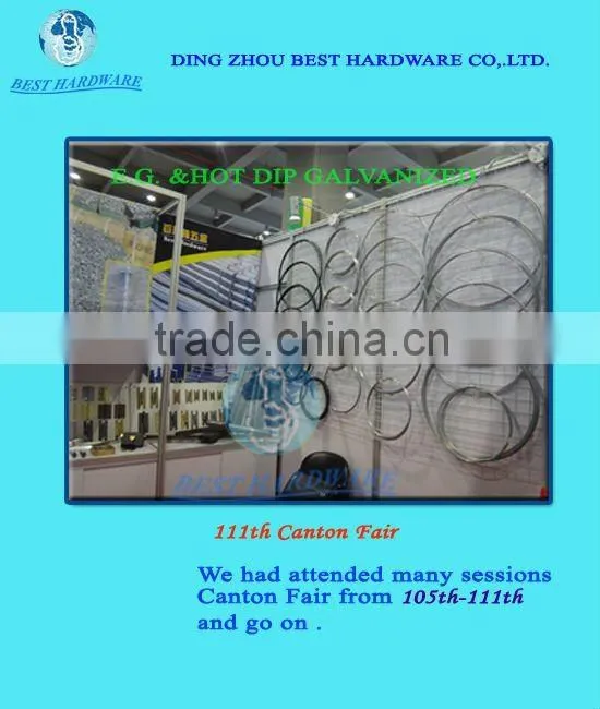 Hot sale electro galvanized iron wire mesh Galvanized screen Window screen