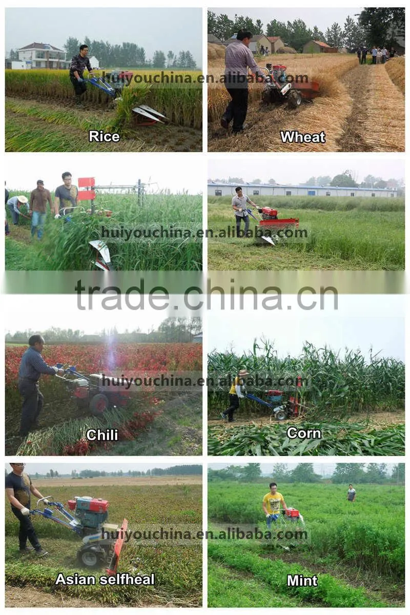 120cm Corn harvester , Maize corn harvester , Sweet corn machine .