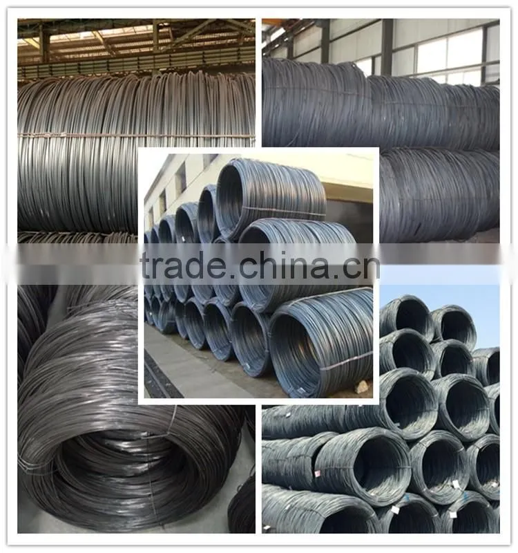 8mm SAE 1006 Coils Steel Wire Rod