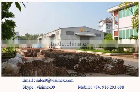 Split Cassia/Cinnamon Vietnam (SKYPE: VISIMEX09)