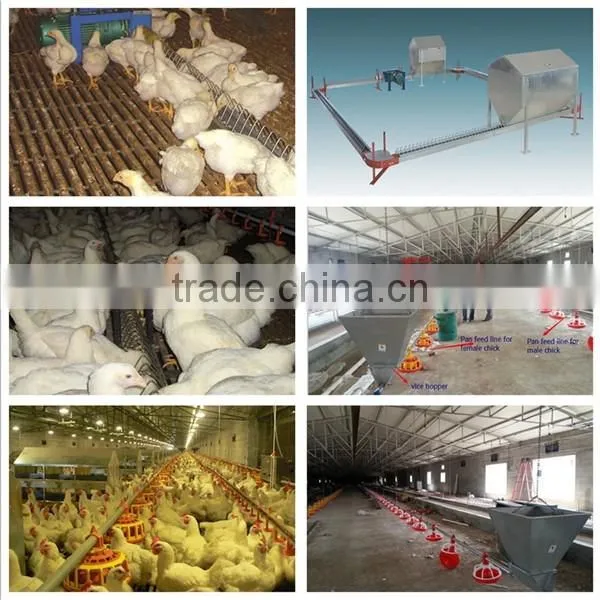 U-BEST full automatic poultry equipment for breeder chicken