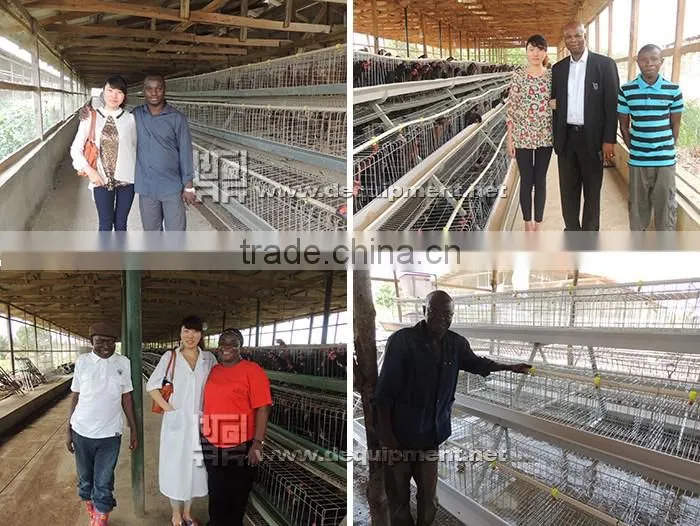 a type automatic battery chicken layer poultry cages for nigeria/africa