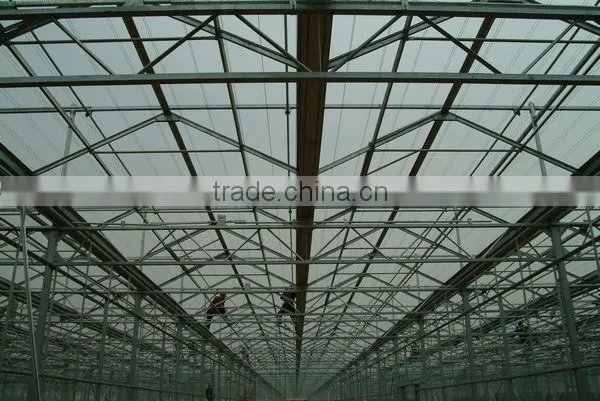 Venlo Type Glass Greenhouse