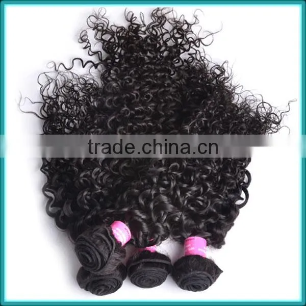 8A Perfect 100% Unprocessed Kinky Curly Virgin Hair, Wholesale Unprocessed Virgin Malaysian Hair