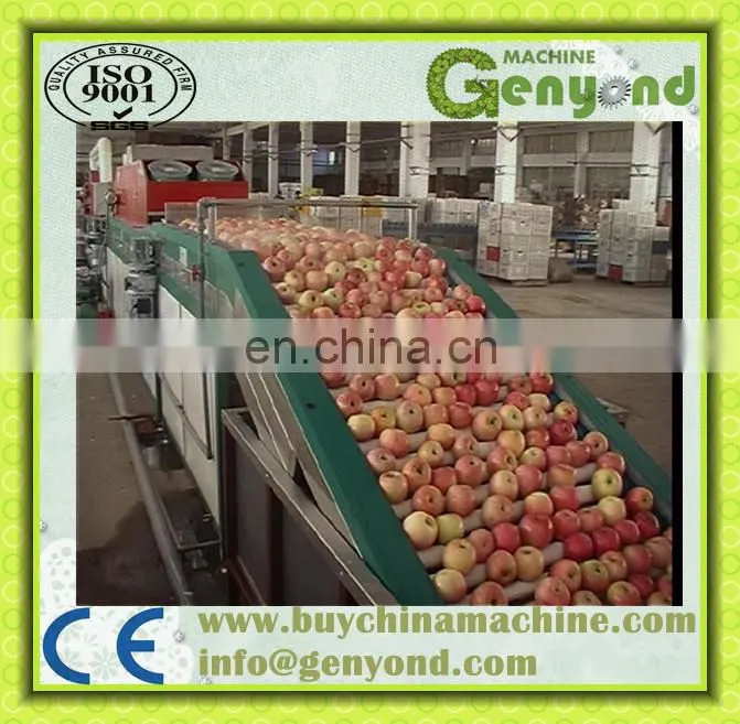 citrus waxing machine fruit washing and waxing machine fruit waxing machine
