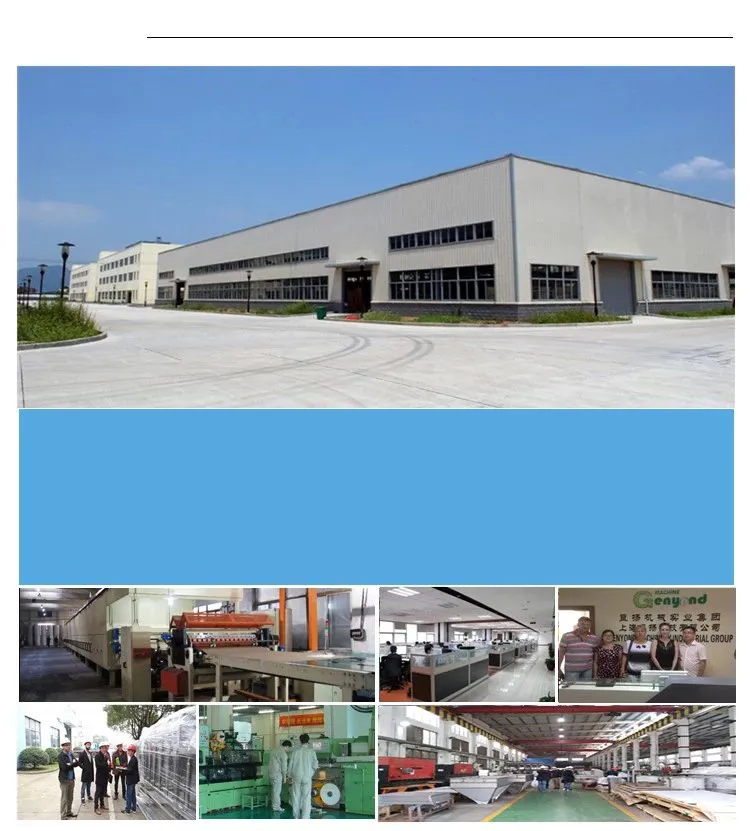 Canned Tomato Paste Processing Plant / Tomato Jam Production Line