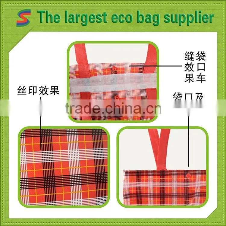 LB91 Pp Lamination Non Woven Shopping Bag