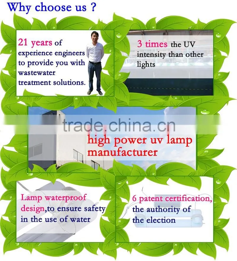 Swimming pool water treatment 300W 185nm 254nm High frequency uv lamp