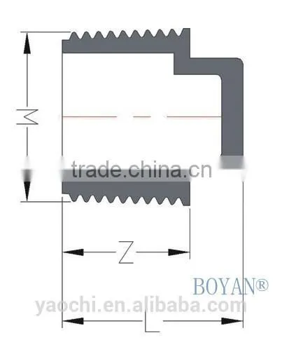 pvc BS thread end cap plug