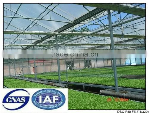 High quality transparent roof panel