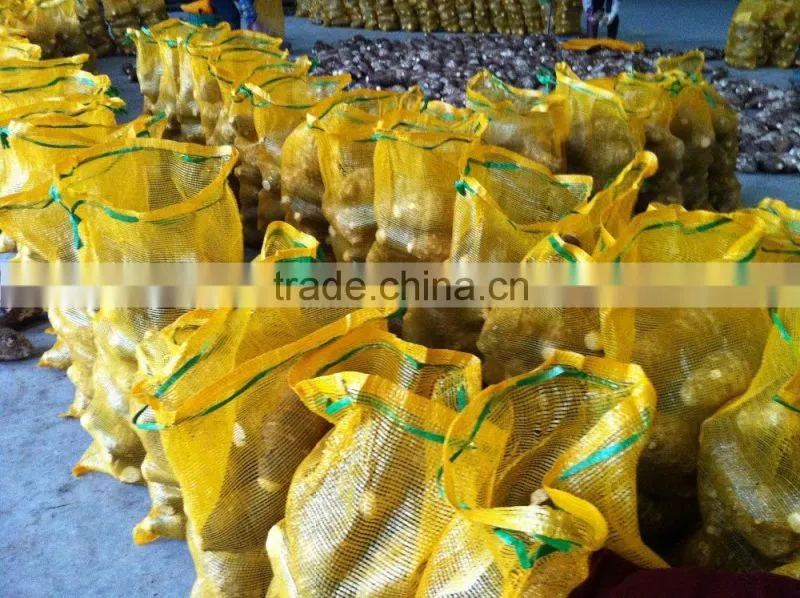 Fresh Chinese Taro for sale
