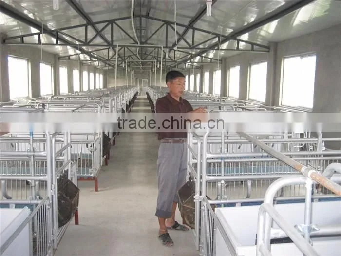 High quality Long span steel structure FOR pig farm