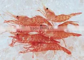 Commercial Cheap plate ice machine for Cooling