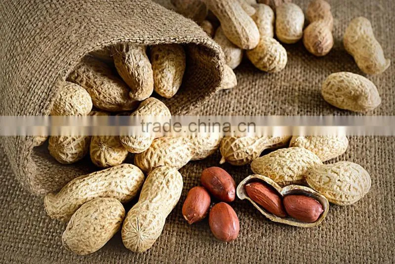 Instant Peanut Flavour Soft Tofu Powder