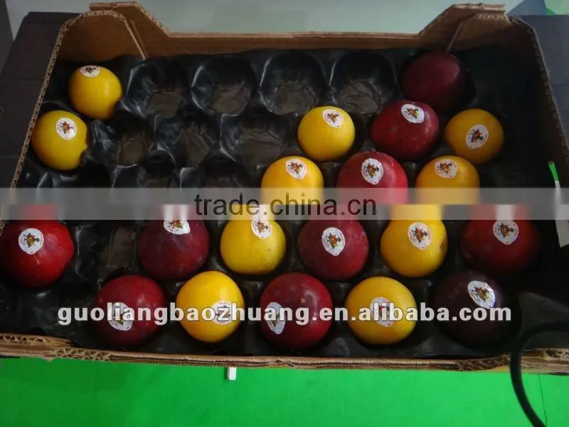 Thermoformed Plastic Food Packaging Insert Liner