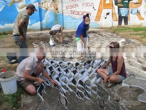 PP PE Geogrid sheet Machine