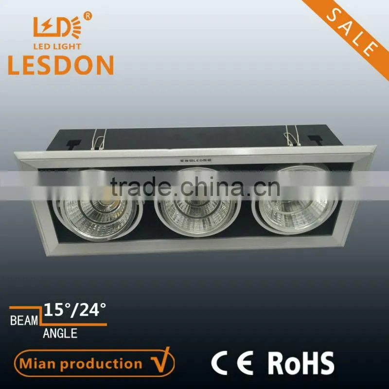 Double head 2 * 25W cob led downlight with epistar chip, CE&RoHS