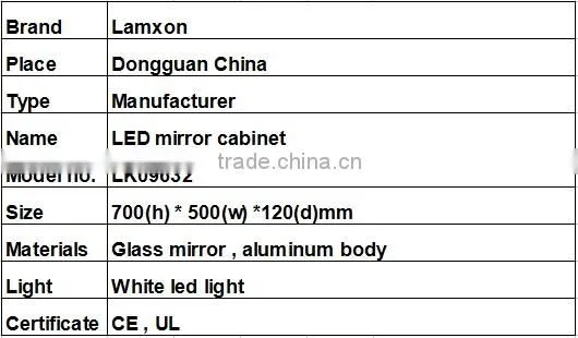 Wall-mounted LED mirror cabinet with soft close door