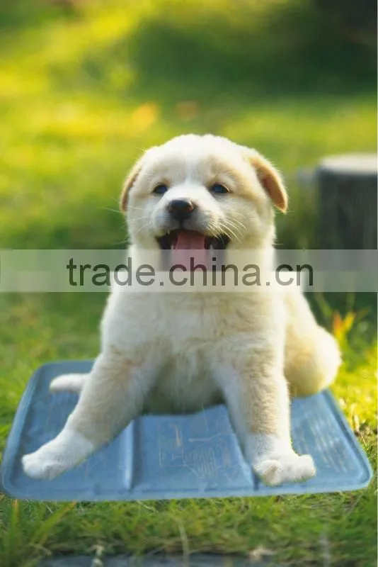 real-world ice pad with the advanced technology from China supplier