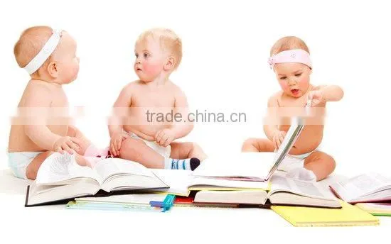 Yulin high quality acrylic embedded clam specimen