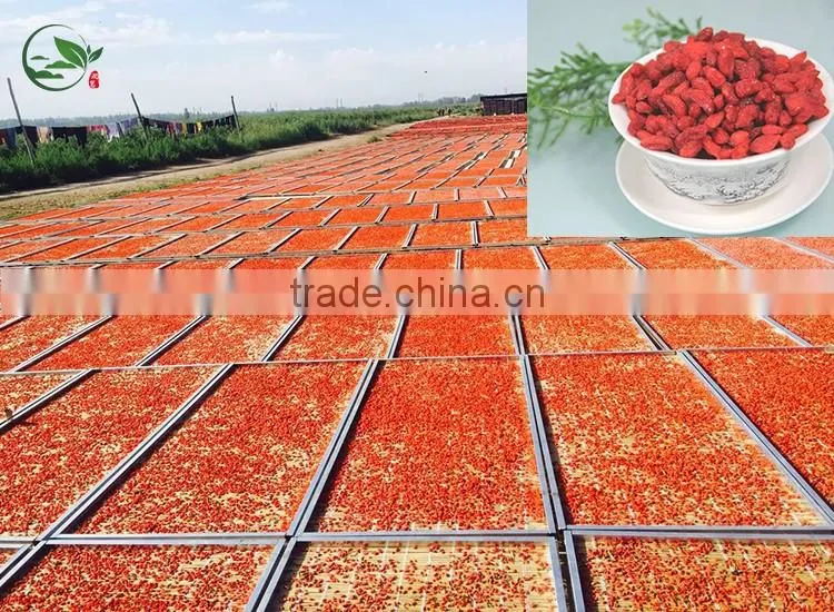 High Quality Organic Certified Goji Berries