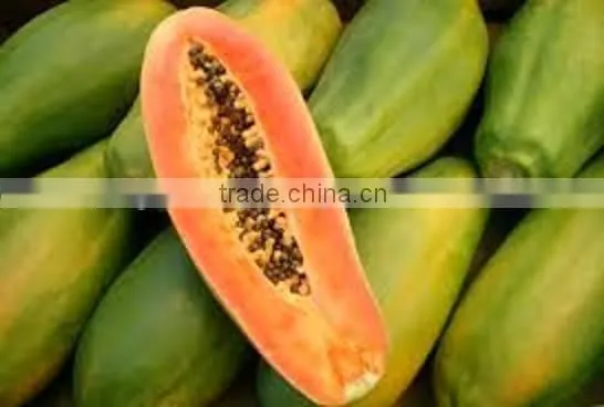 Fresh Tropical Fruit Sweet From Vietnam