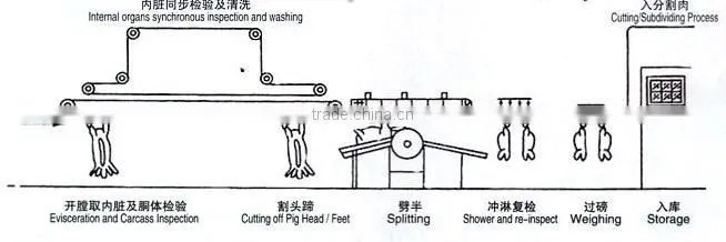 pig slaughter equipment/300 head pig slaughtering machine line