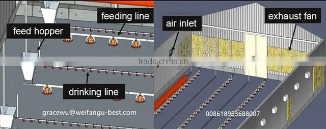 Breeder automatic feeding system