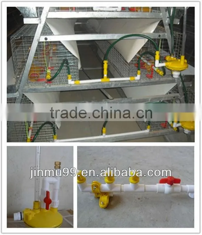 Poultry Chicken Equipment farm chicken cage